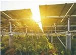 MEAN WELL Green Energy Technology