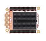 Great Scott Gadgets Daffodil Enlarged Image