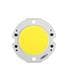 Cree LED XFLC20-H0-0000-0B000A57E