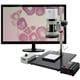 Aven 26700-124