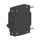 Carling Technologies CA1-B0-36-650-121-D