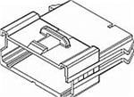 Aptiv (formerly Delphi) 12177254 Enlarged Image