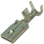 Aptiv (formerly Delphi) 13521802 Enlarged Image