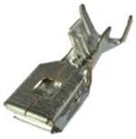 Aptiv (formerly Delphi) 15543316 Enlarged Image