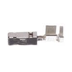 Aptiv (formerly Delphi) 13882331-L Enlarged Image