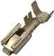 Aptiv (formerly Delphi) 12048450-L