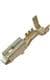 Aptiv (formerly Delphi) 12176389-MR