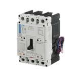 Eaton Electrical PDG23P0060B2NN Enlarged Image