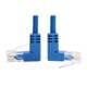Tripp Lite N204-S20-BL-UD