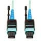 Tripp Lite N846-01M-24-P