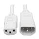 Tripp Lite P004-006-AWH