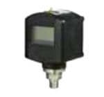 Honeywell WPS1A00AGP2PEP1N Enlarged Image