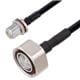 PolyPhaser CASPF250010-2FT