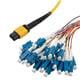 PolyPhaser MPF24SM-09LCR-5
