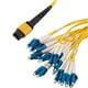 PolyPhaser MPF24SM-20LCR-1