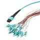 PolyPhaser MPM24M3-09LCR-5