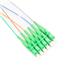 PolyPhaser OFPT06DS-LASSM-CE-3