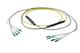 Pasternack PE3FCA240-25M