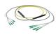 Pasternack PE3FCA242-15M