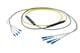 Pasternack PE3FCA243-15M