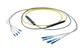Pasternack PE3FCA245-10M