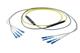 Pasternack PE3FCA247-10M