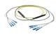 Pasternack PE3FCA251-25M