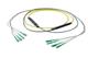 Pasternack PE3FCA252-25M