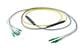 Pasternack PE3FCA308-25M