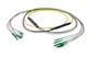 Pasternack PE3FCA384-5M