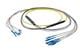 Pasternack PE3FCA385-10M