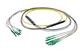 Pasternack PE3FCA386-5M