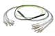 Pasternack PE3FCA448-30M