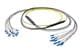 Pasternack PE3FCA451-30M