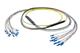 Pasternack PE3FCA455-15M