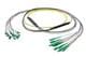 Pasternack PE3FCA460-30M