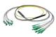 Pasternack PE3FCA460-5M