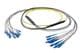 Pasternack PE3FCA465-5M