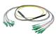 Pasternack PE3FCA466-15M