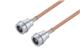 Pasternack PE3W11619-48