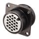 JAE Electronics JL05-2A24-28SC-F0-RK