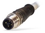 Molex Brad® M12 Power T-Coding Connectors