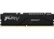FURY Beast DDR5 Memory Modules