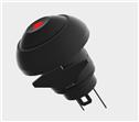 Dailywell PA Sub-Miniature Pushbutton Switches