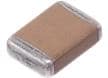 1111 Chip Size Non-Magnetic Capacitors