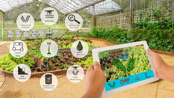 hands holding tablet to control the sensors and technology in a greenhouse