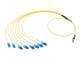 Molex 106292-0607