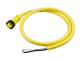 Molex 1300060091
