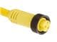 Molex 1300060221