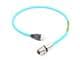 Molex 1300540043